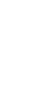 Logo white